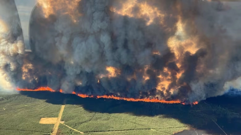 Carbon offsets help combat the after-effects of forest fires.